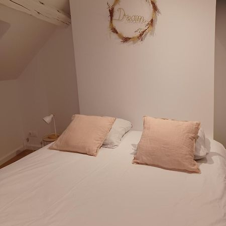 Duplex De 65 M2, Coeur De Bonneval Apartment Bonneval  Luaran gambar